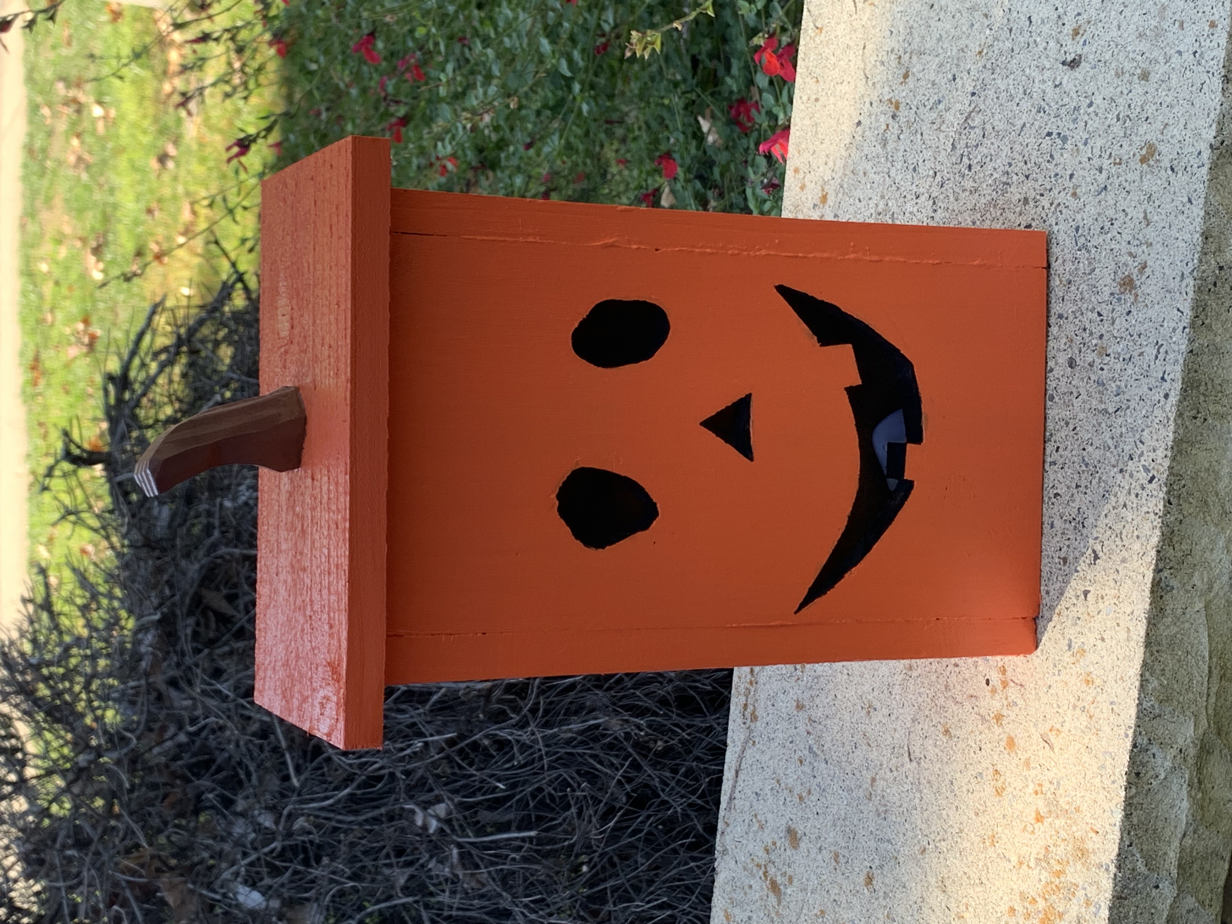 Pumpkins Daylight