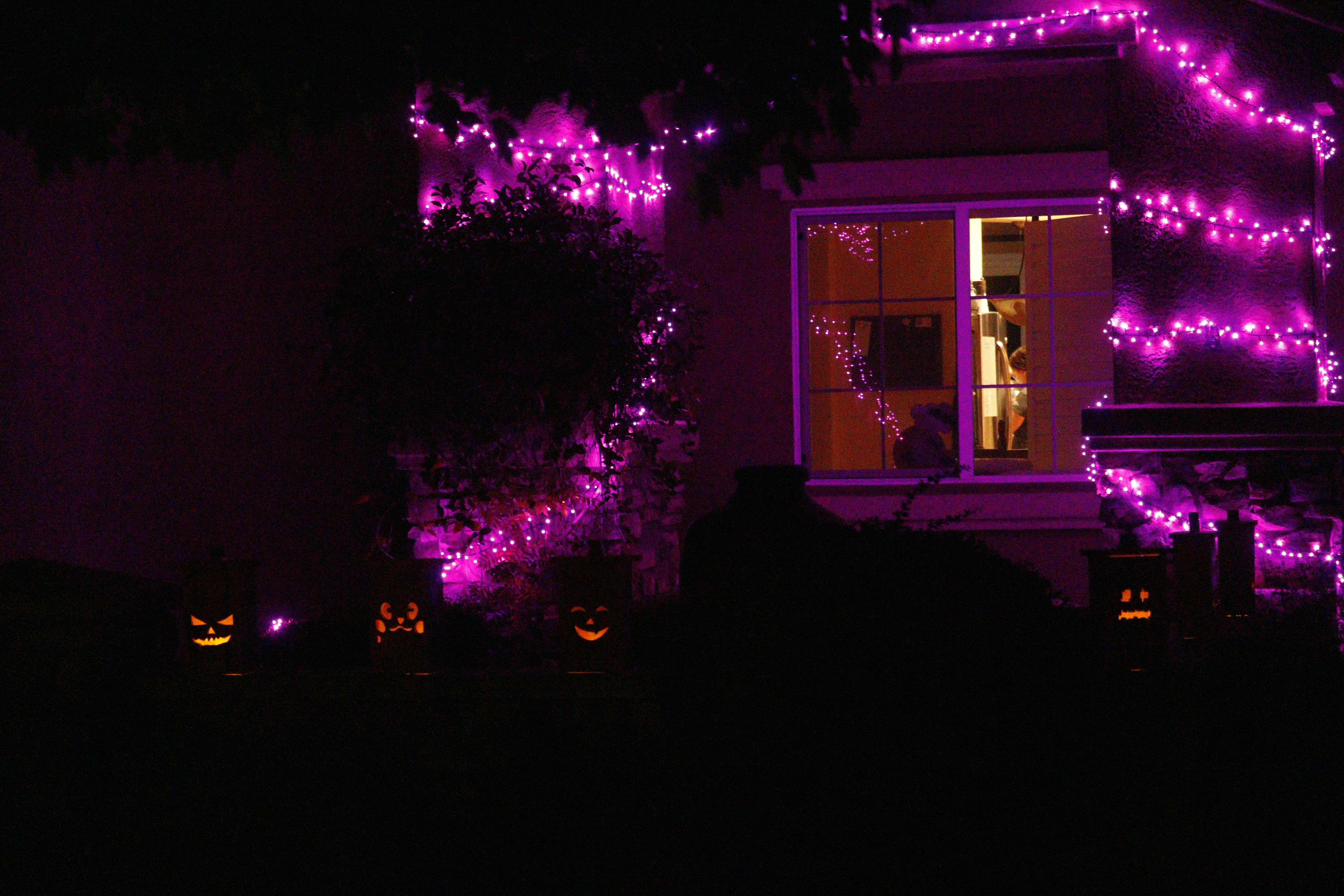 Pumpkins at Night