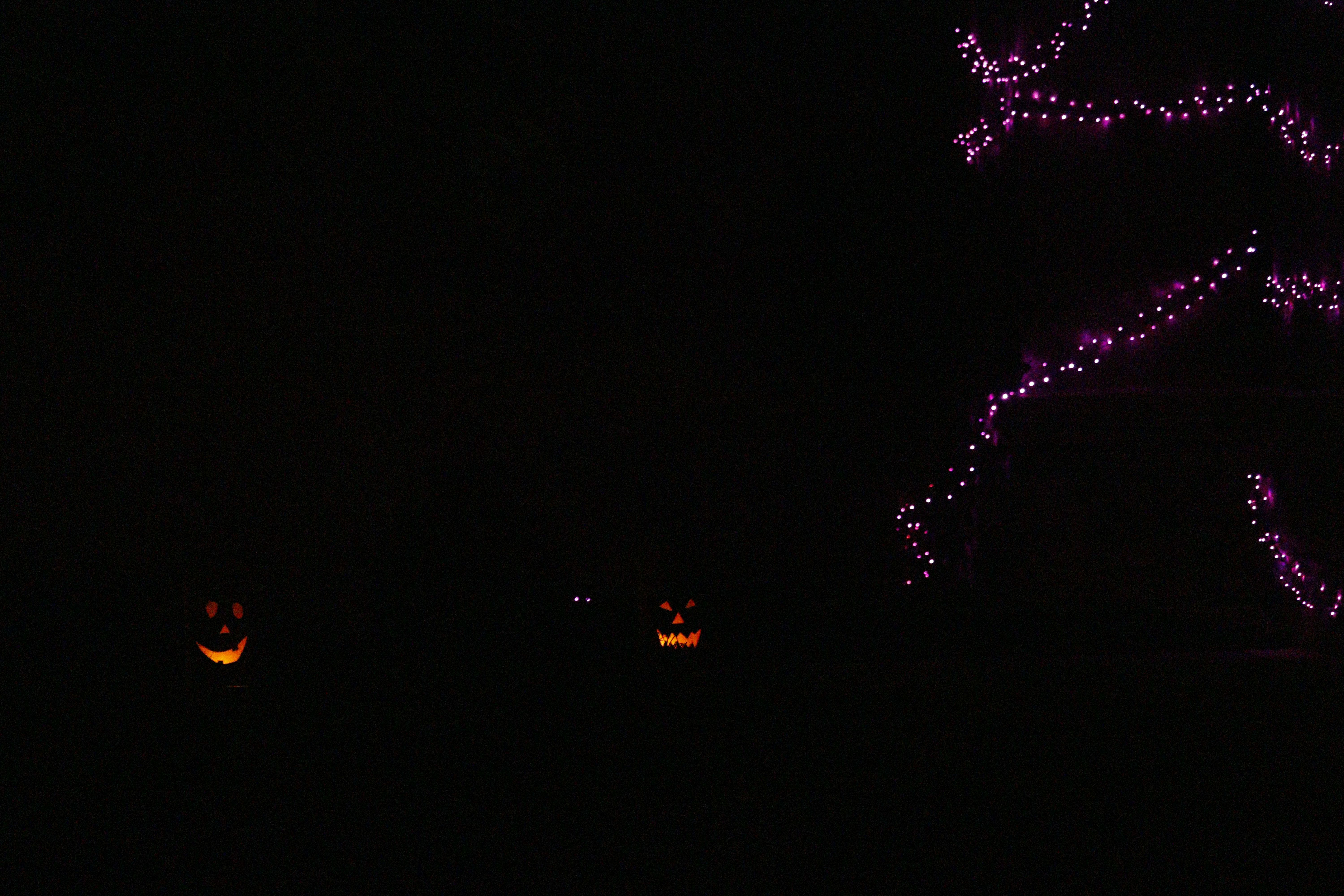 Pumpkins at Night