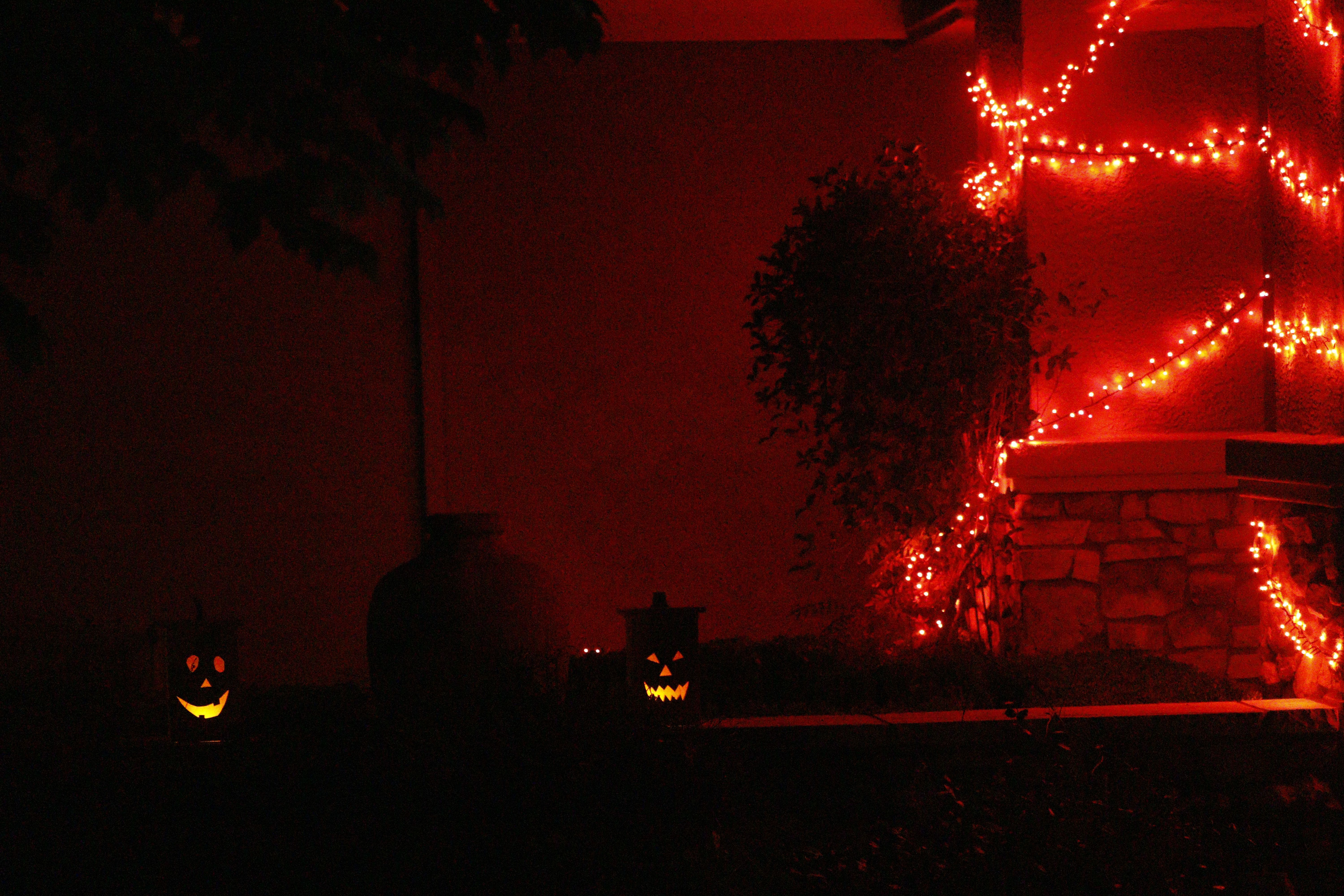 Pumpkins at Night