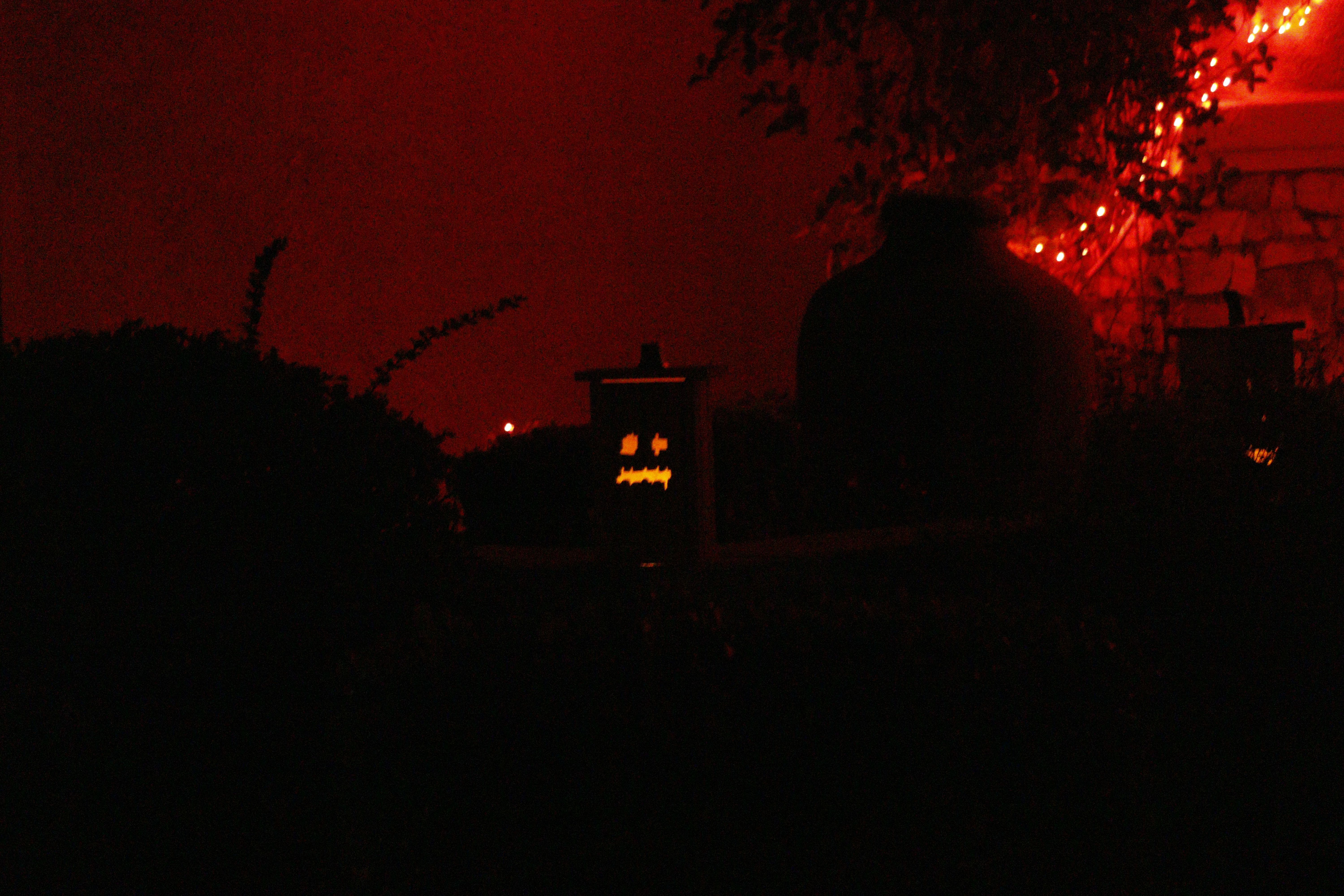 Pumpkins at Night