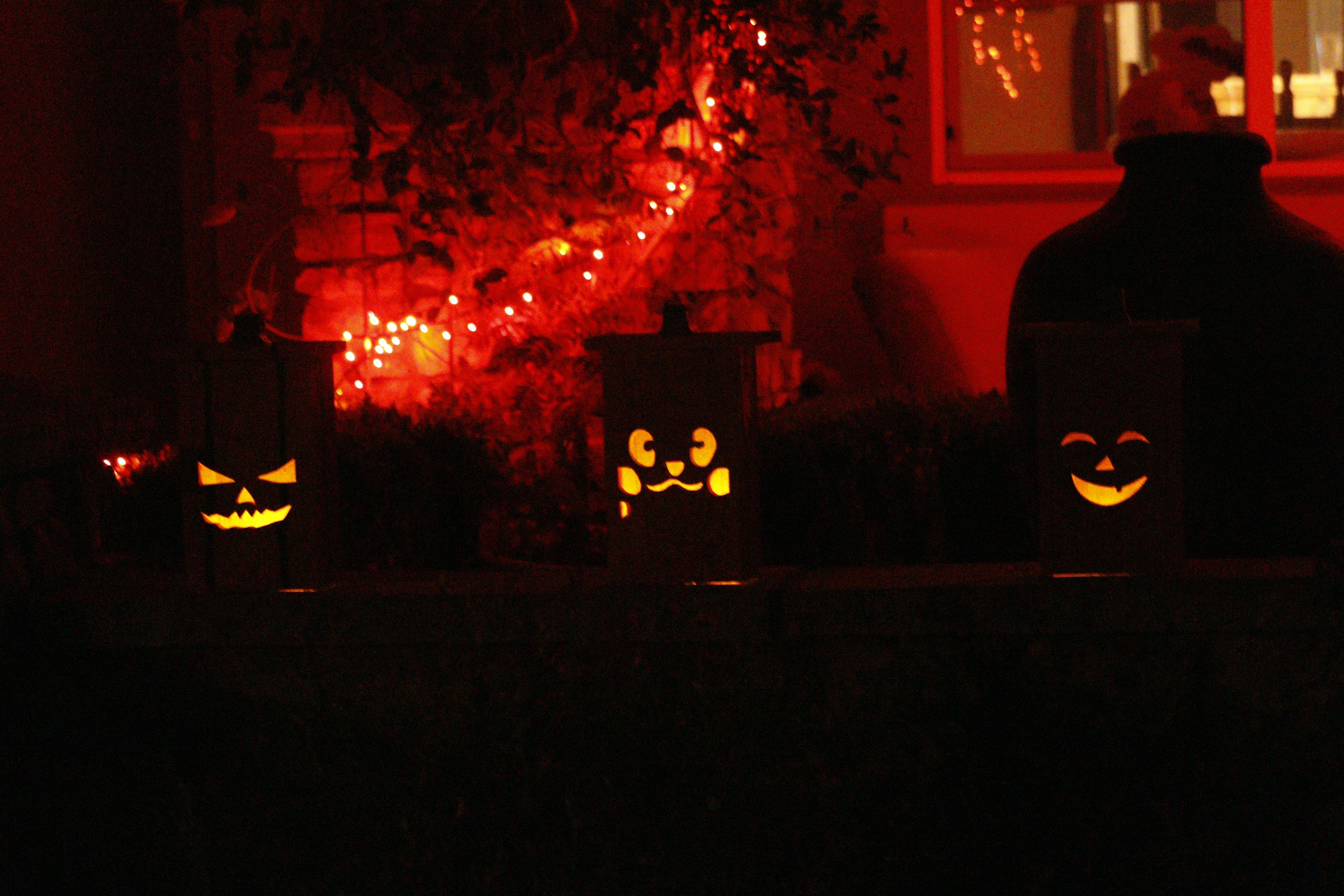 Pumpkins at Night
