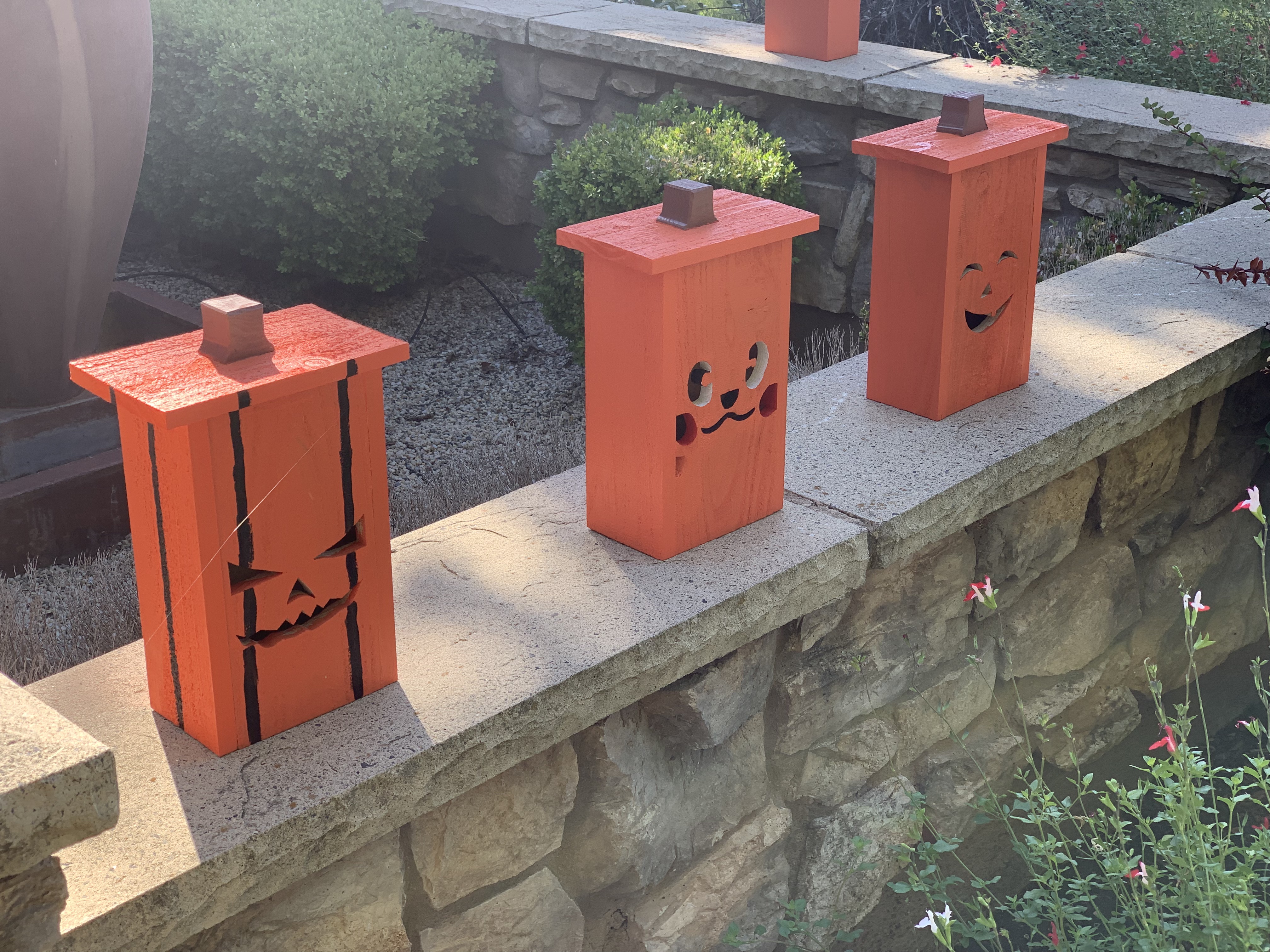 Pumpkins Daylight